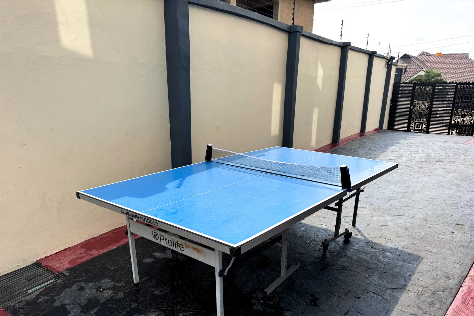 Table-tennis area